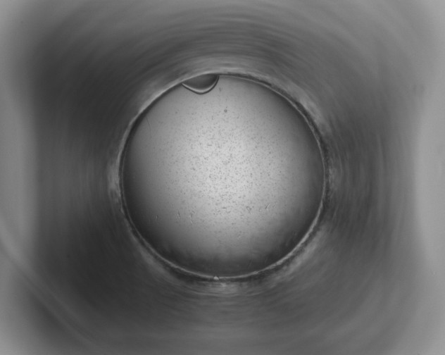 X0000102481521200808151439