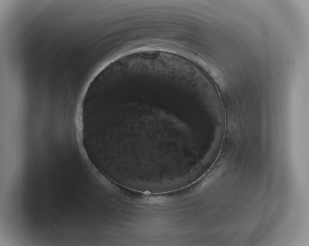 X0000102481522200808151439