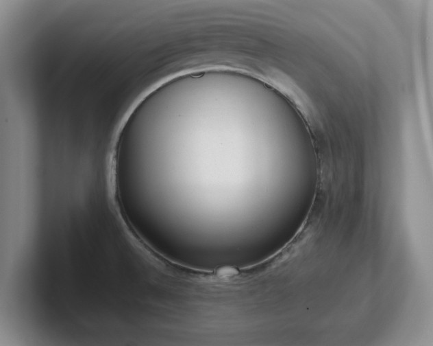 X0000102481524200808151439