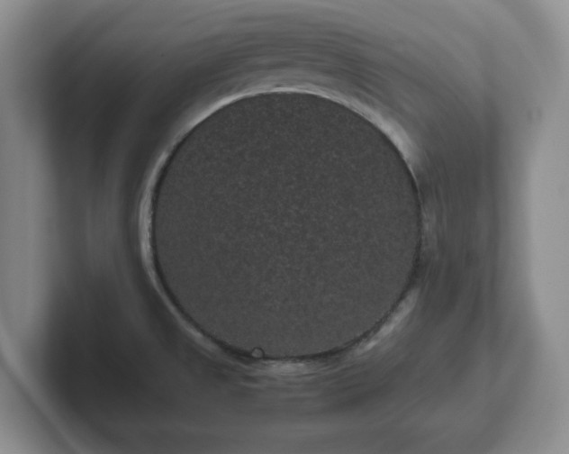 X0000102481525200808151439