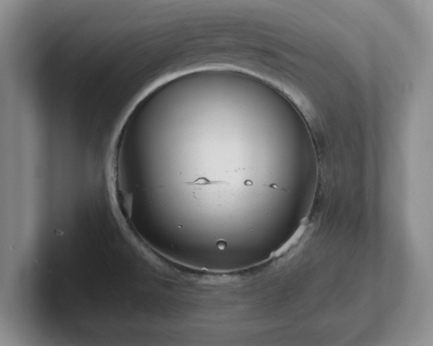 X0000102481526200808151439