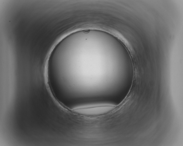 X0000102481528200808151439