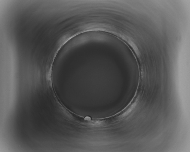 X0000102481529200808151439