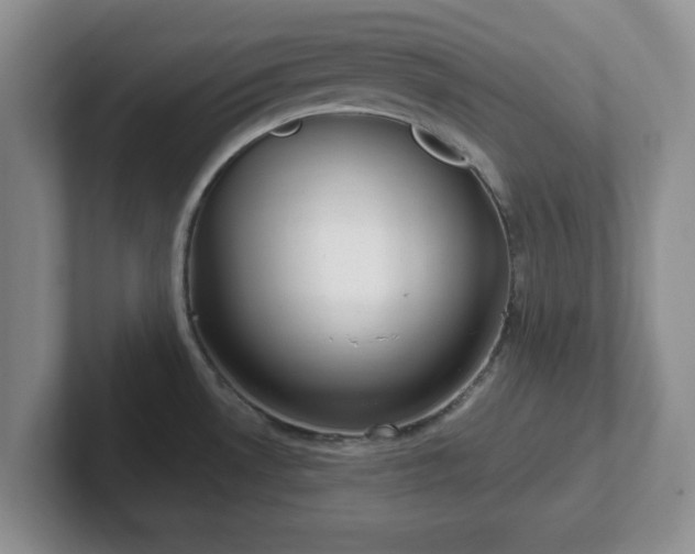 X0000102481530200808151439