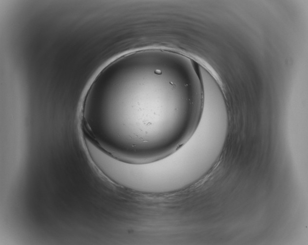 X0000102481532200808151439