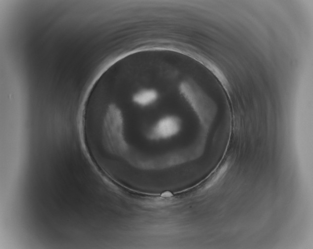 X0000102481533200808151439