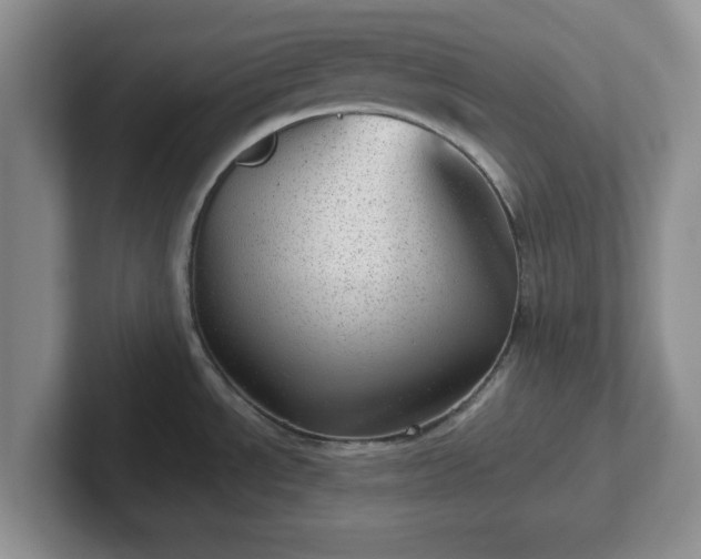 X0000102481534200808151439