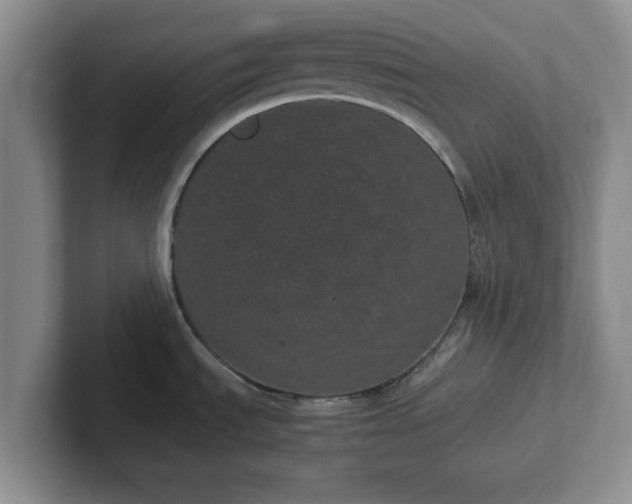 X0000102481535200808151439