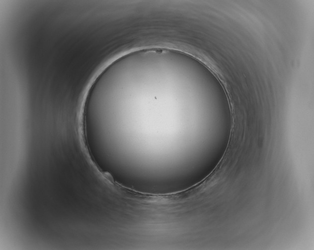 X0000102481536200808151439