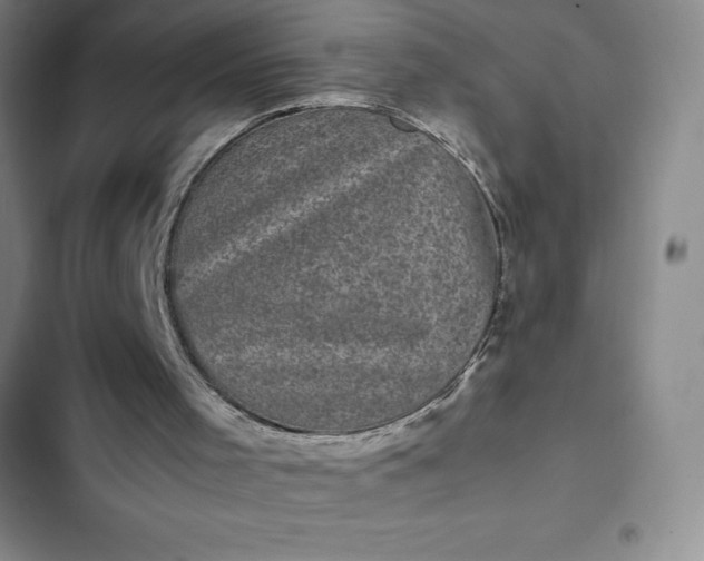 X0000102480001200808221718