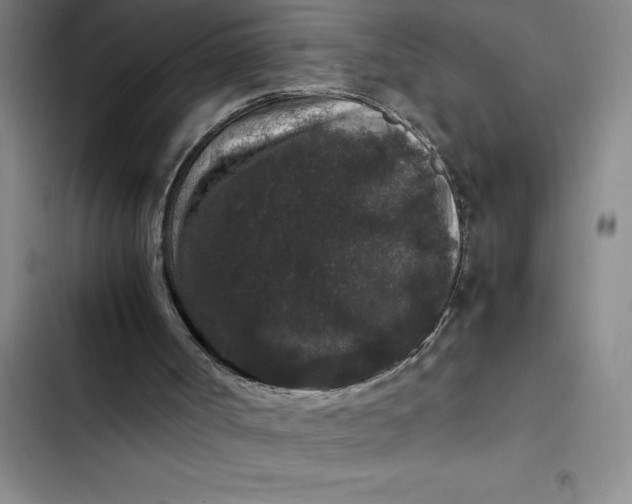 X0000102480002200808221718