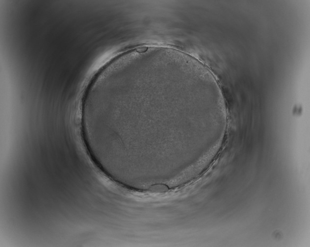 X0000102480005200808221718