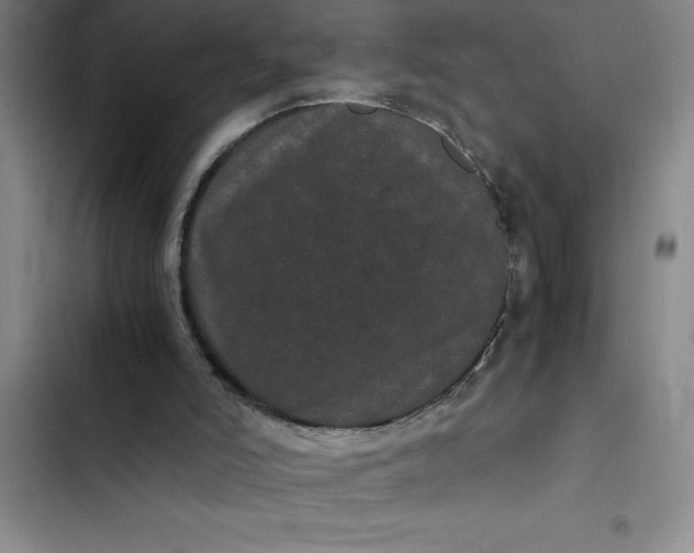 X0000102480006200808221718