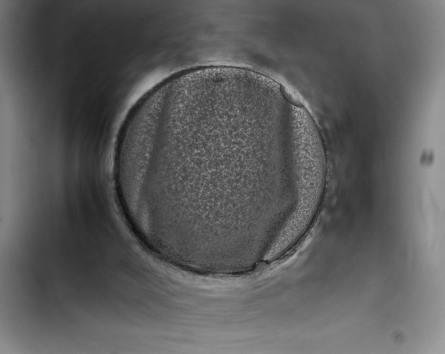 X0000102480008200808221718