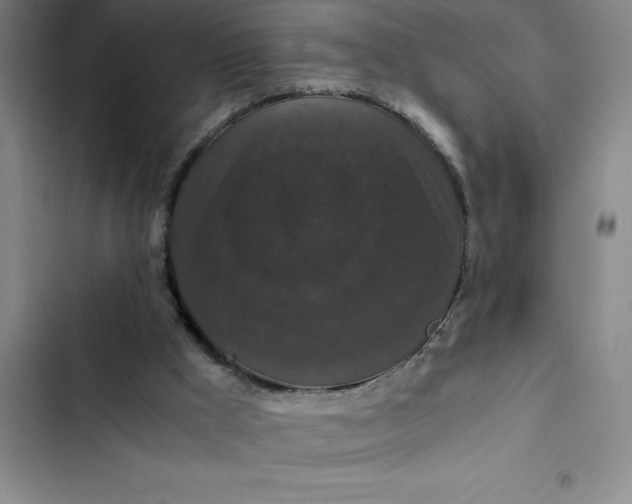 X0000102480009200808221718