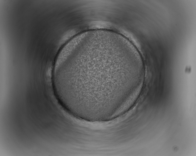 X0000102480010200808221718