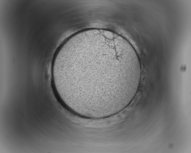 X0000102480011200808221718