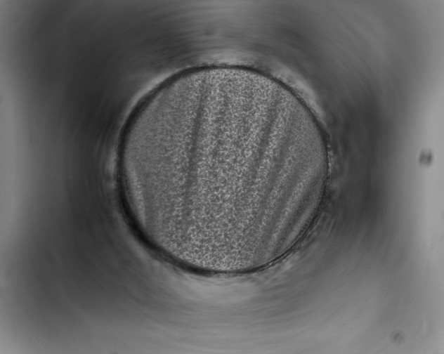 X0000102480012200808221718