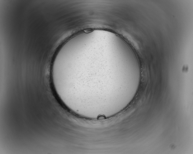 X0000102480015200808221718