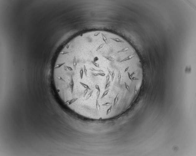 X0000102480016200808221718