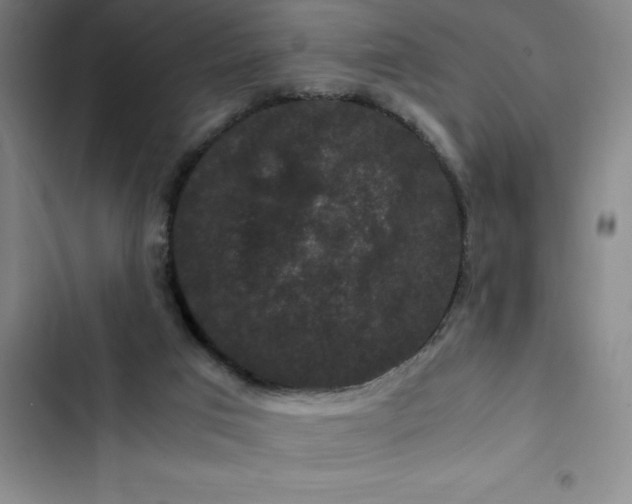 X0000102480017200808221718