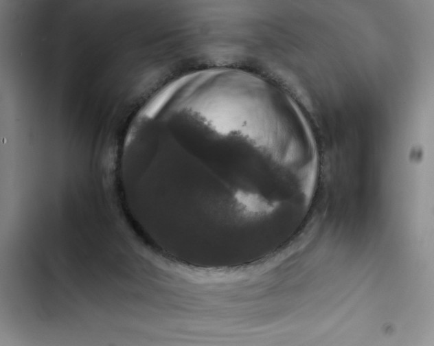 X0000102480018200808221718