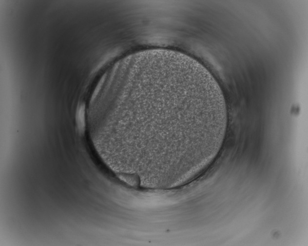 X0000102480020200808221718