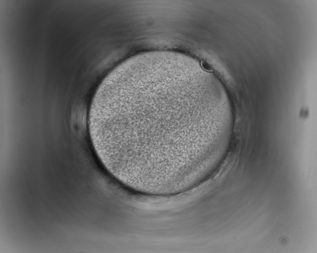 X0000102480021200808221717