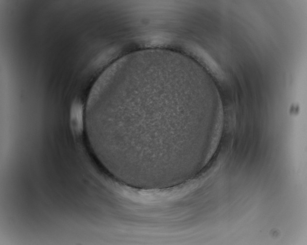 X0000102480022200808221717