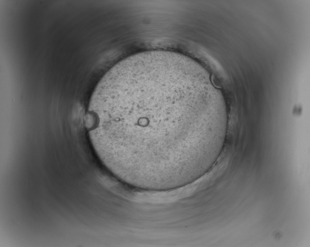 X0000102480025200808221717