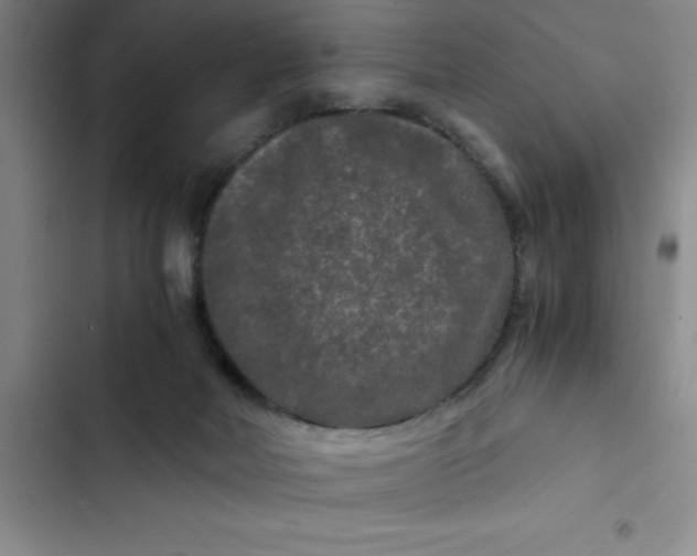 X0000102480026200808221717