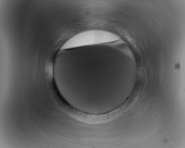 X0000102480027200808221717