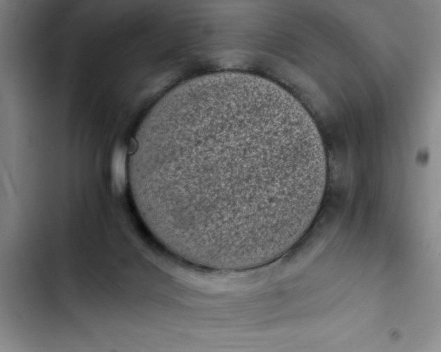 X0000102480028200808221717