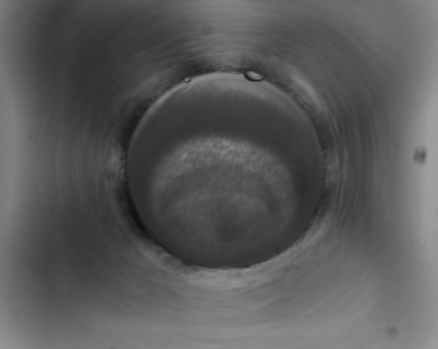 X0000102480029200808221717