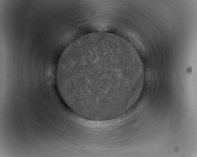 X0000102480030200808221717