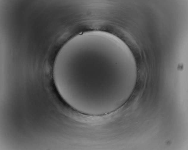 X0000102480031200808221717