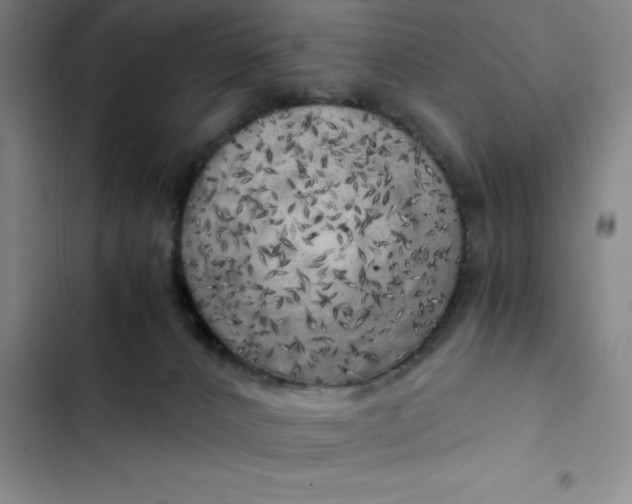 X0000102480032200808221717