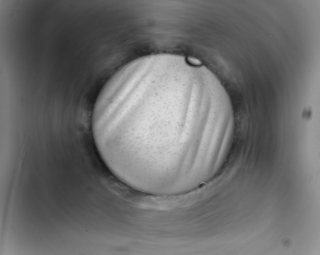 X0000102480033200808221717