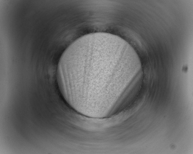 X0000102480034200808221717