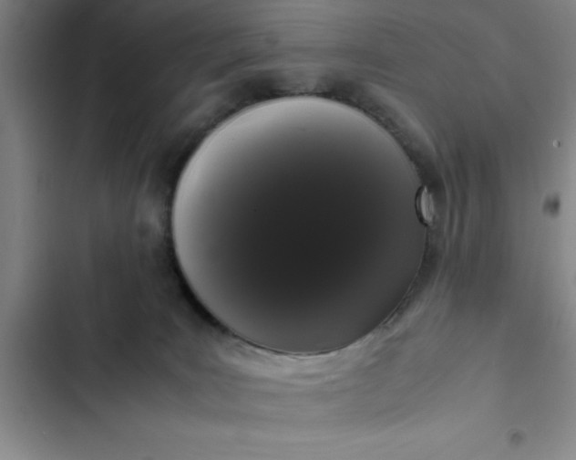 X0000102480035200808221717