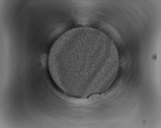 X0000102480036200808221717