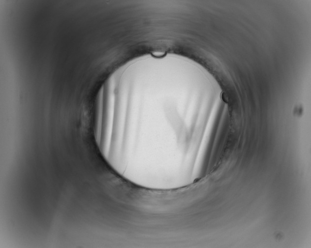 X0000102480037200808221717