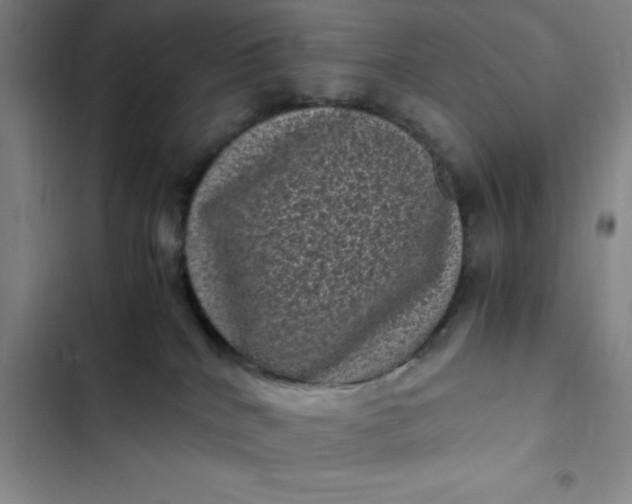 X0000102480040200808221717