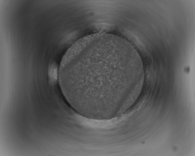 X0000102480042200808221717