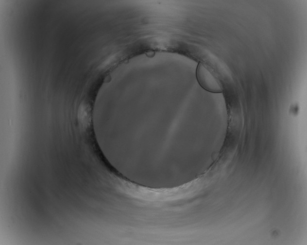 X0000102480043200808221717