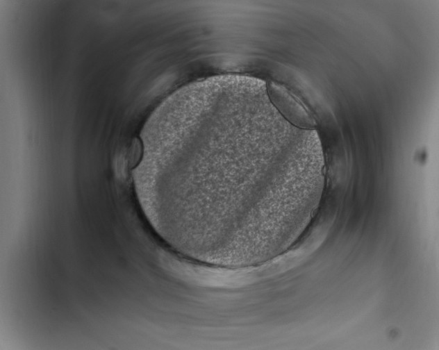 X0000102480044200808221717