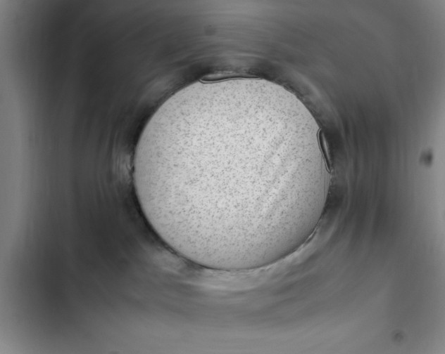 X0000102480045200808221717