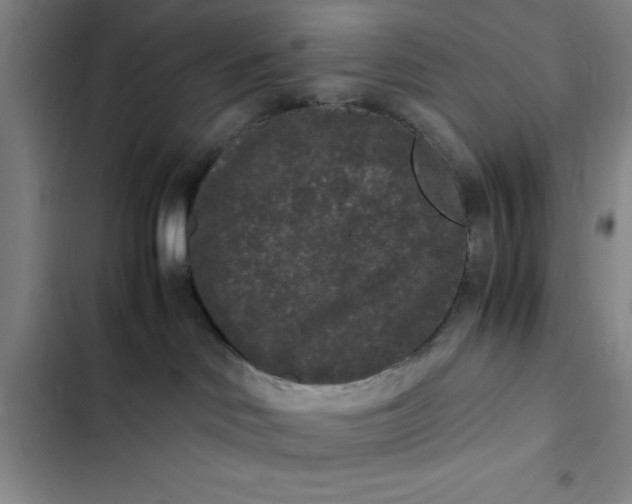 X0000102480046200808221717