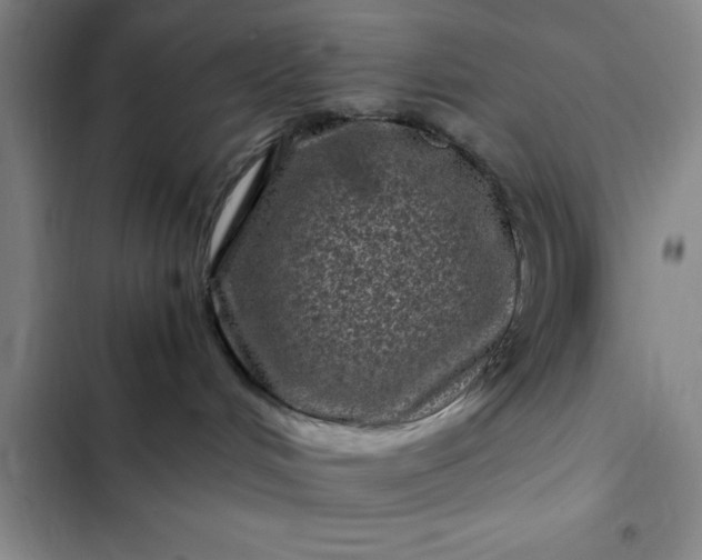 X0000102480048200808221717