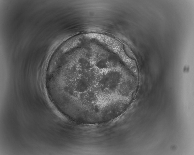 X0000102480049200808221716